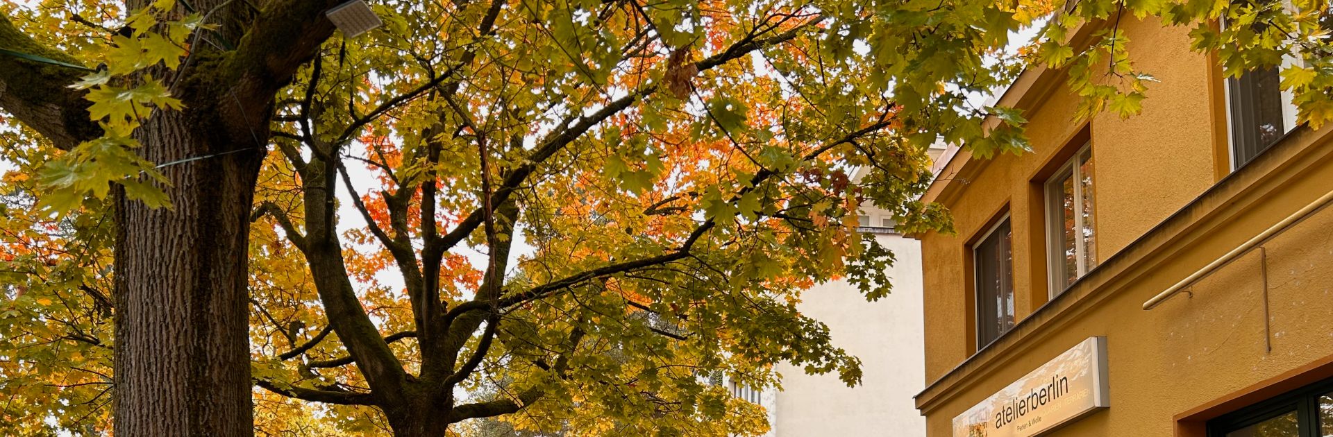 Herzlich Willkommen beim Ortsverband Gartenstadt Schmargendorf und Wilmersdorf-S�d!